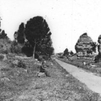 Via Appia Antica.jpg