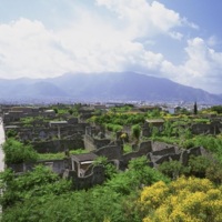 pompeii today .jpg